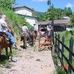 Larry Longbottom - Facebook