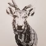 Daniel Boreham - @larryloosemin - Instagram