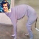 Hacked At 2k 😒 - @larry_losers - Instagram