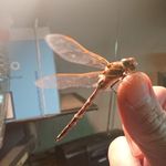 Larry Lotzniker - @larrylotznikerpics - Instagram
