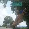 Larry Lowe - @larrylowerdc17 - TikTok