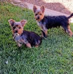Larry Lowe - Facebook