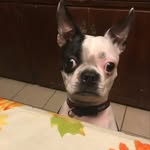 Larry Lucio - @elorvis956 - Instagram
