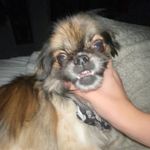 larry - @larrylukowski - Instagram
