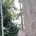 Lukas Khe Liru - Facebook