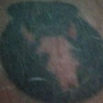 Larry lump - @lumplarry - Instagram