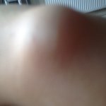 Larry The Lump - @lifesalump - Instagram