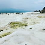 Larry Lundeen - @dogarusing - Instagram