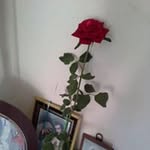 Larry Luzon Villanueva - @larry8487l - Instagram