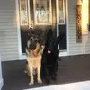Larry and Lynda - @larry719_lynda622 - TikTok