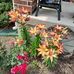 Larry Mace - Facebook