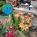 Larry Mace - Facebook