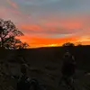 Larry_mack - @larrymack2 - TikTok
