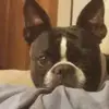 larrymaniscalco3 - @larrymaniscalco3 - TikTok