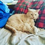 Larry Mann - @___lozzzzzz - Instagram