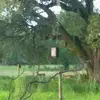 larrymann559 - @larrymann559 - TikTok