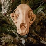 Laurence Manning - @larrymanning8 - Instagram