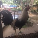 Larry Marco - Facebook