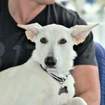 @larr.ymartell77 - Instagram