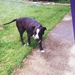 Larry Martz - @blacktruck032 - Instagram