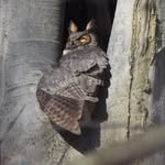 Larry Mathes - @browns56776 - Instagram
