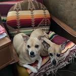 Larry Matheson - @larry_matheson - Instagram