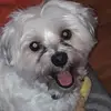 larrymatheson - @larrymatheson - TikTok