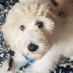 Larry Matteson - @larry.matteson.98 - Instagram