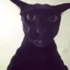 larrymatthew27 - @larrymatthew27 - TikTok