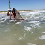 Larry Matthews - @larrymatthews7 - Instagram