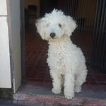 @larry._.max - Instagram