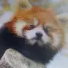 Larry F Max - @larry.f.max - TikTok