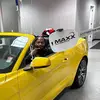 Larry T. Williams III - @larrymaxx - TikTok