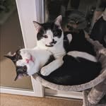 Max & Larry - @larrymaxhugo - Instagram
