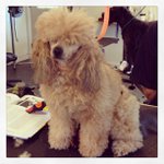 Larry Maynor - @notchillu - Instagram
