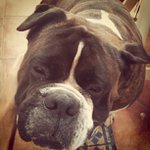 Larry Maynor - @skiingfig - Instagram