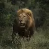 larrymcadams840 - @larrymcadams840 - TikTok
