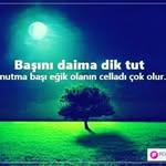 Larry Mcanally - @halmgasika - Instagram