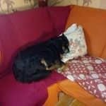 Larry Mcatee - @larrymcatee - Instagram