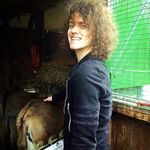 Larry - @larrymccannnn - Instagram