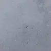 larry_mccann12 - @larry_mccann12 - TikTok