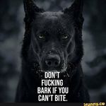 Larrymccann - @larryxmccann13 - Instagram