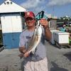 Larry Mccomsey - @larry.430 - TikTok