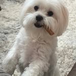 Larry McDaniel - @larrymcdaniel52 - Instagram