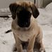 Larry Mckinnon - Facebook