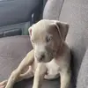 larrymcmanus672 - @larrymcmanus672 - TikTok