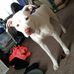 Larry Mcmaster - Facebook