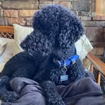 Larry Mcmeans - Facebook