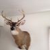 Larry McNew - Facebook