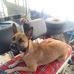 Larry Mcvey - Facebook